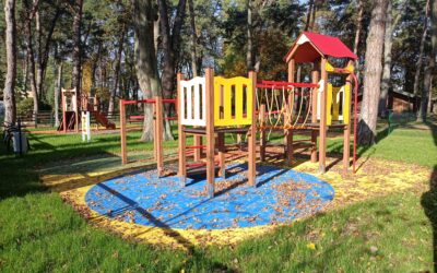 Ochrona środowiska przy projektowaniu i&nbsp;budowie placów zabaw